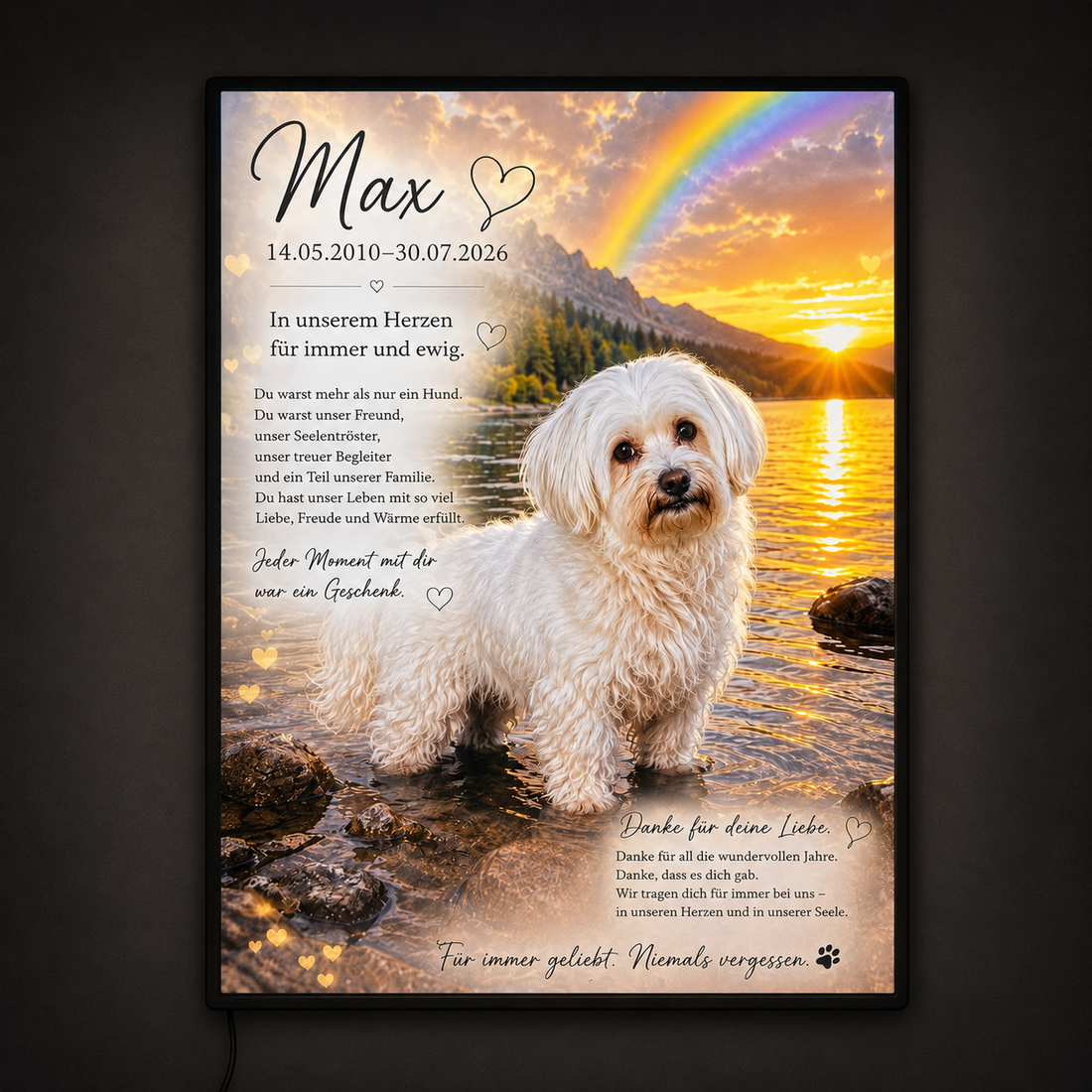 Max Memorial Lightbox