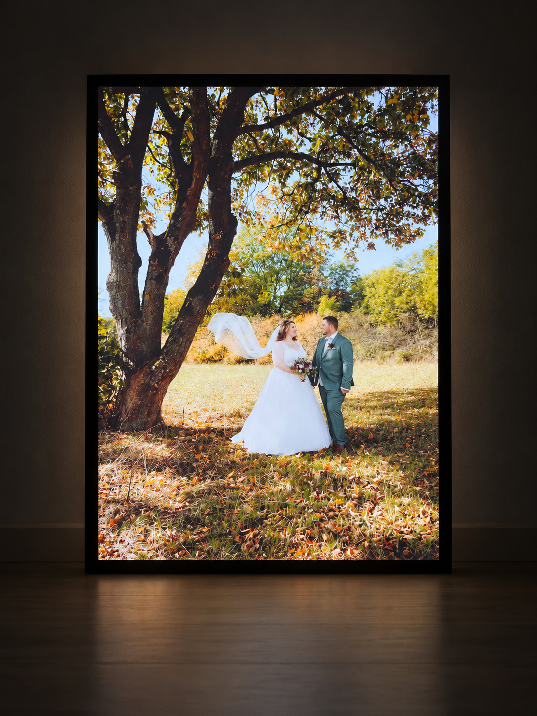 Illuminated photo lightbox featuring a wedding couple beneath a sunlit tree