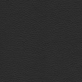 Leather Sample – Ebony Black - Marcel Olsen