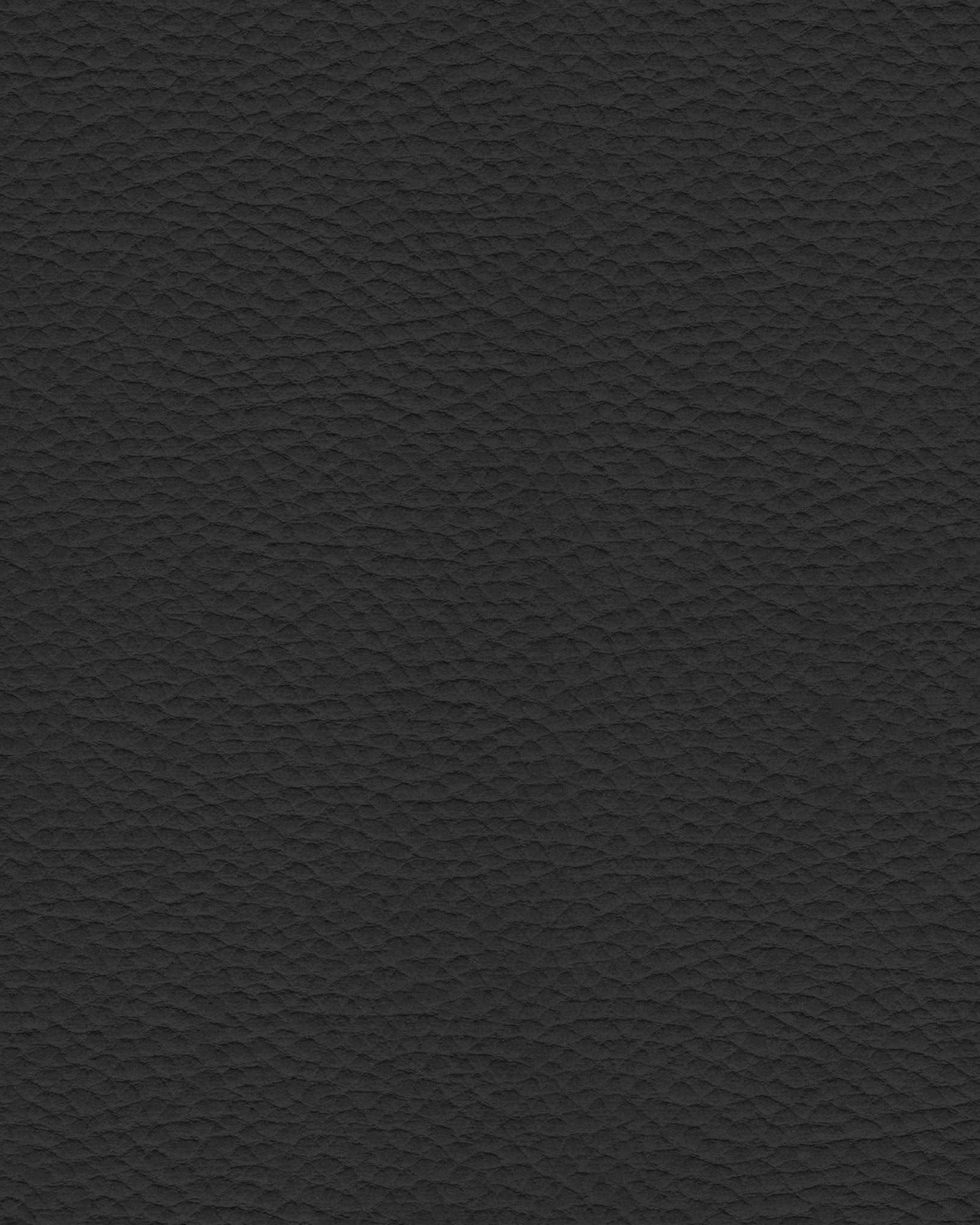 Leather Sample – Ebony Black - Marcel Olsen