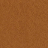 Leather Sample – Caramel - Marcel Olsen