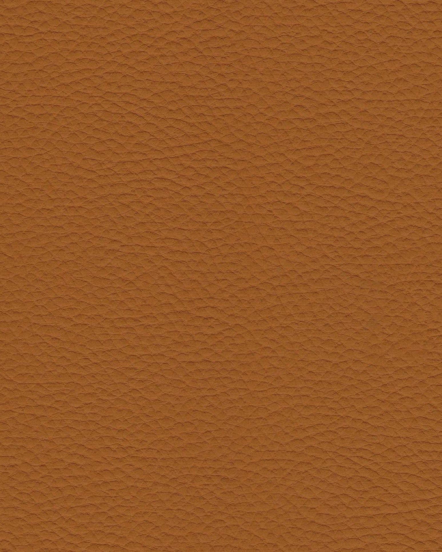 Leather Sample – Caramel - Marcel Olsen