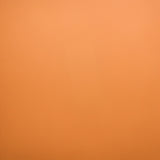 Ondara Plastic Sample - Orange - Marcel Olsen