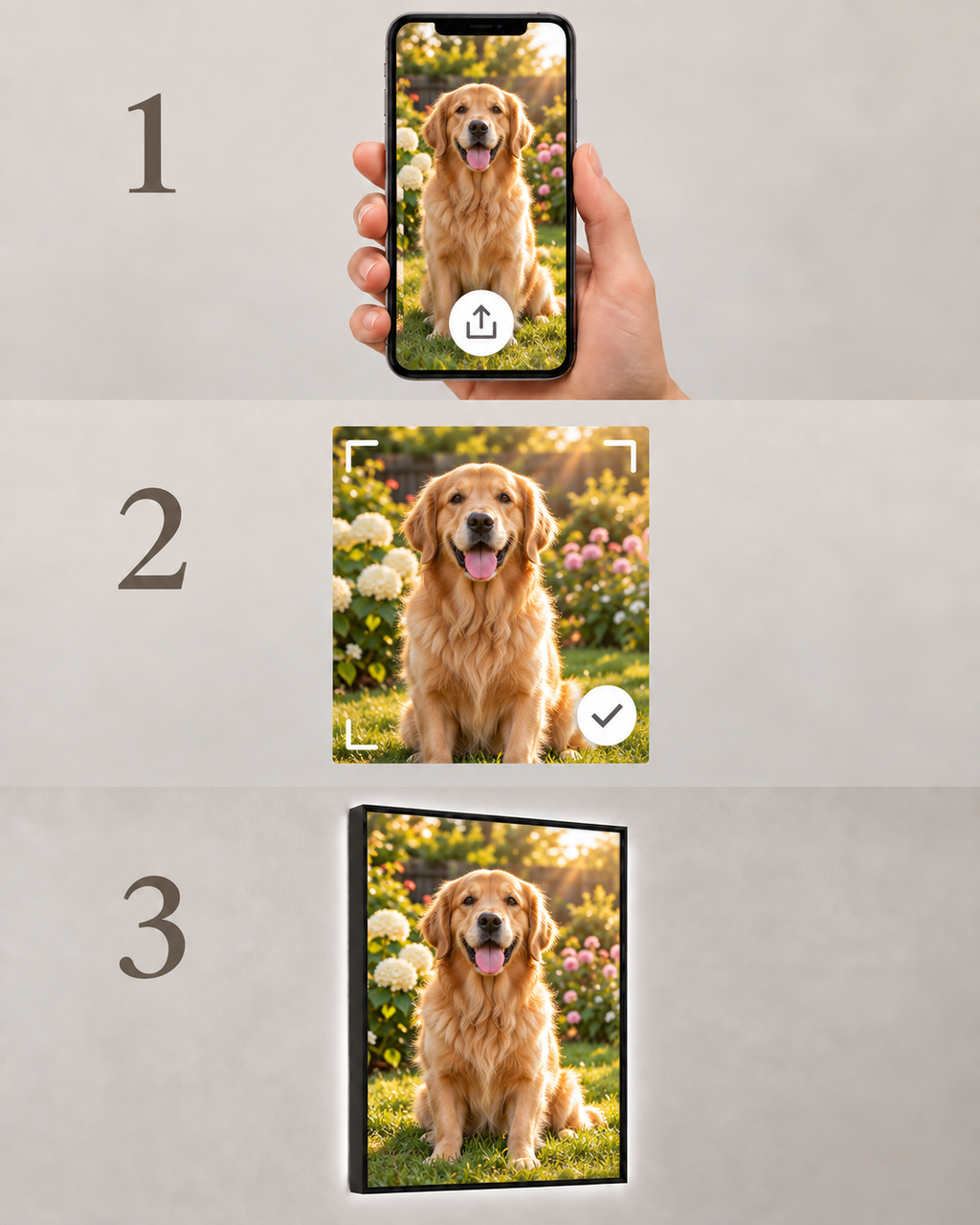 Upload a pet photograph, adjust the crop and receive the finished illuminated frame