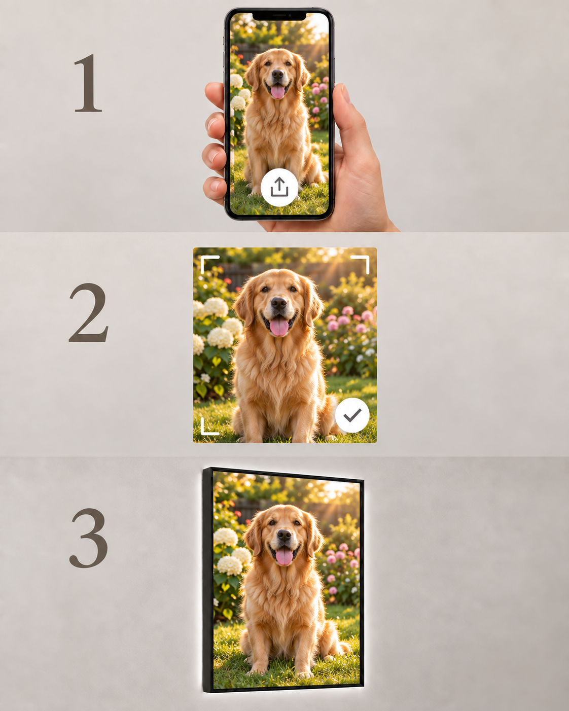 Upload a pet photograph, adjust the crop and receive the finished illuminated frame